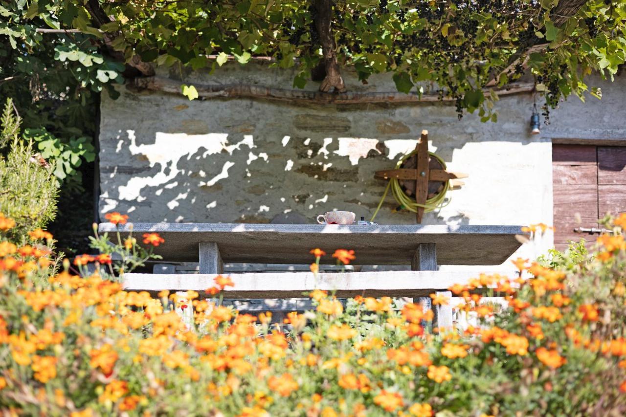 Villa Al Pinone à Crevoladossola Extérieur photo
