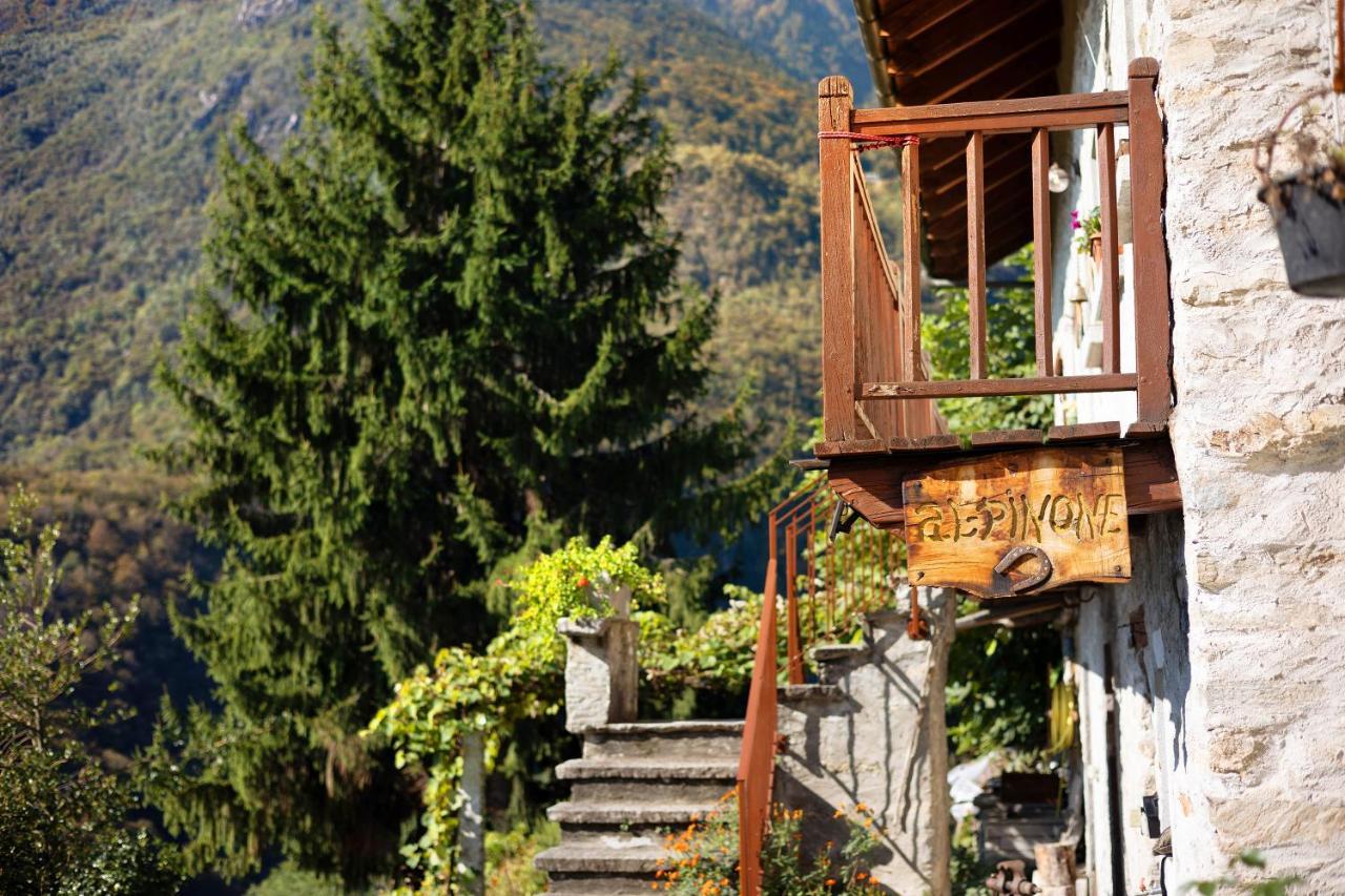 Villa Al Pinone à Crevoladossola Extérieur photo